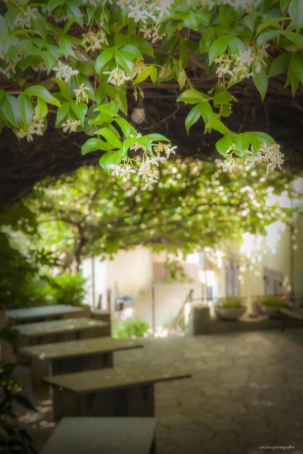Hotel E Trattoria San Giorgio Piossasco Exteriér fotografie